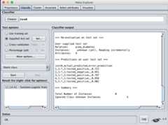 Weka Predictions Made on New Data By a Loaded Model