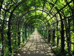 Applied Machine Learning With Weka Mini-Course