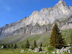 A Gentle Introduction to Cross-Entropy for Machine Learning