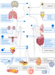 Cells 07 00147 g004 Cells 07 00147 g004