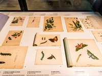 Scott Sisters Exhibition Documentation 2017