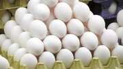 قیمت انواع تخم مرغ پوست سفید اعلام شد