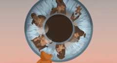 A teddy sitting in front of a large eye and looking at the reflections of its experiences in the iris.