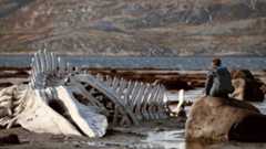 Leviathan (2014) Leviathan (2014)