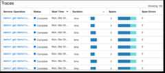 APM Trace Explorer Traces