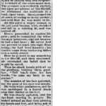 The American Citizen, August 7, 1875