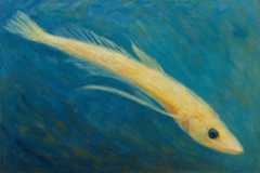 地球最古の湖「バイカル湖」に棲む「わが子を喰らう魚」