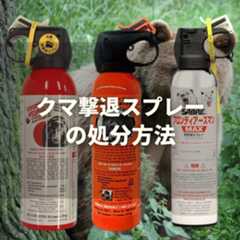 【2025年】熊避けスプレーで助かった人はいない?|日米の成功事例と統計データ(動画付き) 55 kumaspray kigen gire shobun02 【2025年】熊避けスプレーで助かった人はいない?|日米の成功事例と統計データ(動画付き)