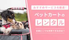 ペットカートのレンタルサービスを厳選!全国どこでも利用できるサービスも紹介