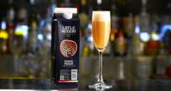 Little Mixers Bellini Little Mixers Bellini