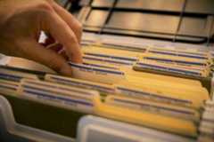 Indexing by custom fields craft cms