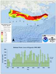 A graphic that shows 2025 hypoxic zone in the Gulf of Mexico