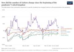A thumbnail of the "How did the number of visitors change since the beginning of the pandemic?" chart