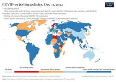 A thumbnail of the "COVID-19 testing policies" chart