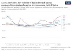 A thumbnail of the "Excess mortality: Raw number of deaths from all causes compared to projection based on previous years" chart