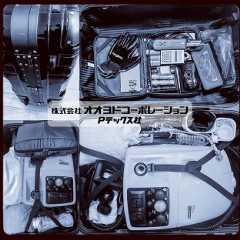 トコジラミ(南京虫)駆除|効果的な対策と殺虫剤による自己対策の記録