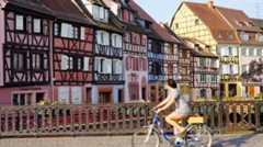 仏アルザスワイン 新進気鋭の造り手に日本人も