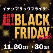 2025bf pandora bnr220