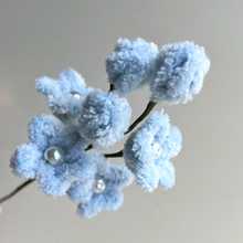 Thumb 202504mole bluestar310