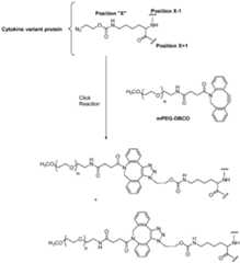 Figure imgf000087_0001