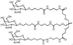 Figure imgf000006_0001