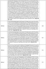 Figure imgf000111_0001