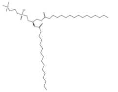 Figure imgf000024_0001