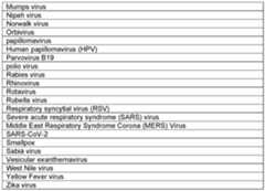 Figure imgf000262_0001