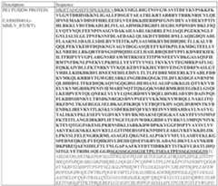 Figure imgf000228_0001