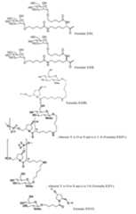 Figure imgf000084_0001