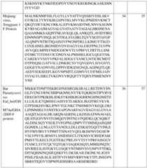 Figure imgf000220_0001