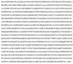 Figure imgf000063_0001