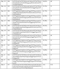 Figure imgf000117_0001