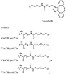 Figure imgf000004_0001