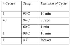 Figure imgf000079_0002