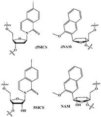 Figure imgf000051_0001