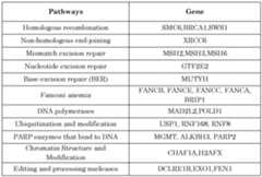 Figure imgf000039_0001