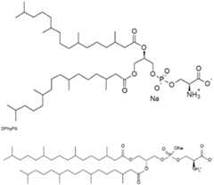 Figure imgf000089_0001