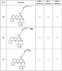 Figure imgf000331_0001