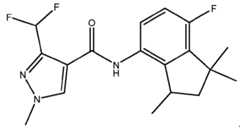 Figure imgf000024_0002