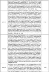 Figure imgf000083_0001