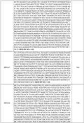 Figure imgf000087_0001