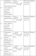 Figure imgf000129_0001