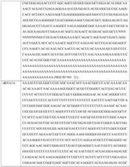 Figure imgf000376_0001