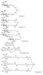 Figure imgf000078_0001