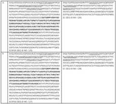 Figure imgf000117_0001