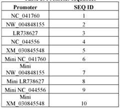 Figure imgf000081_0001