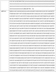 Figure imgf000365_0001