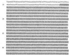 Figure imgf000028_0001