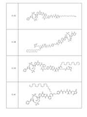 Figure imgf000076_0001